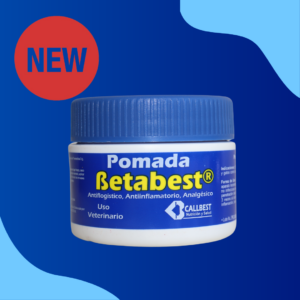 Betabest